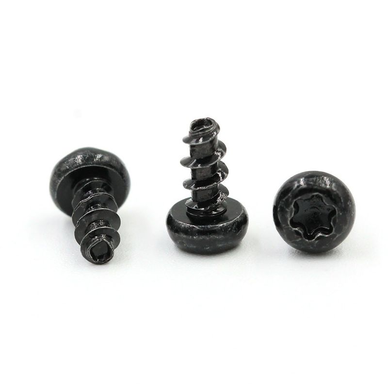 Custom Torx Screw Pan Head Stainless Steel Screws Mini Tapping Screw for Watch